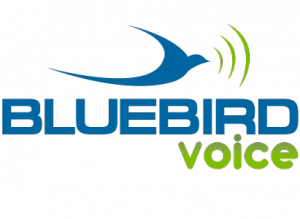 BB_voice_logo
